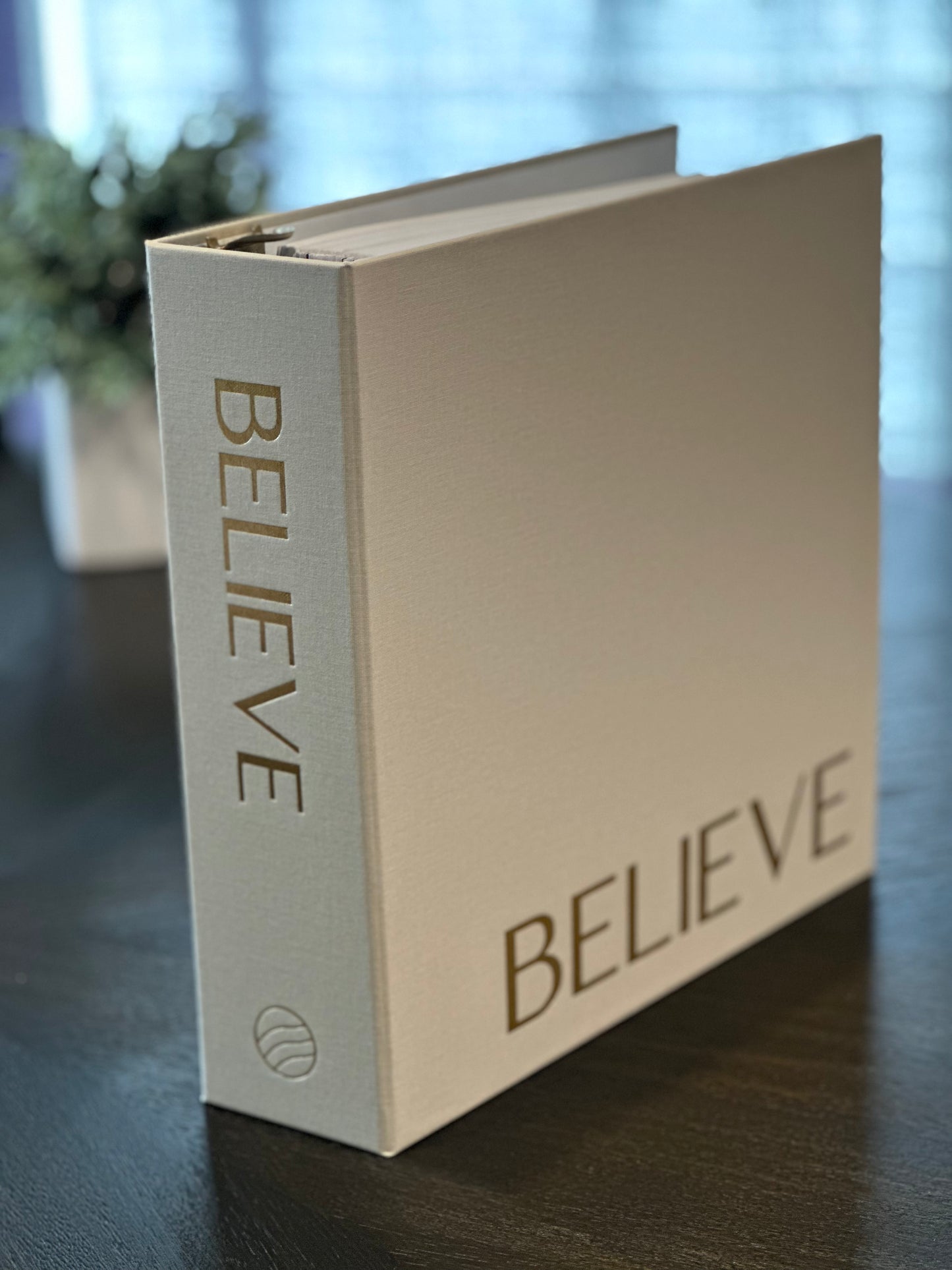 Believe Gospel Study System